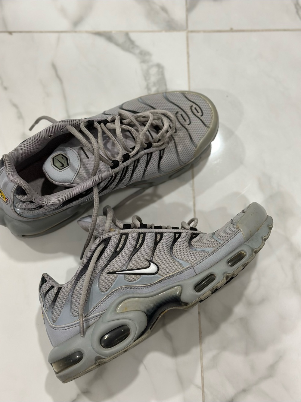 Nike Grey and White Air Max Plus TN Sneakers